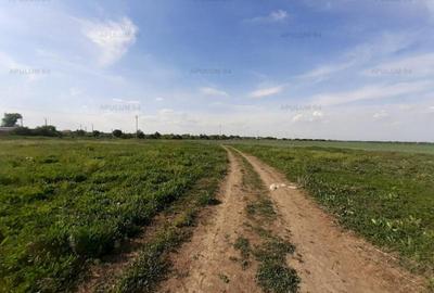 Teren aproape de Bucuresti langa padure - 4