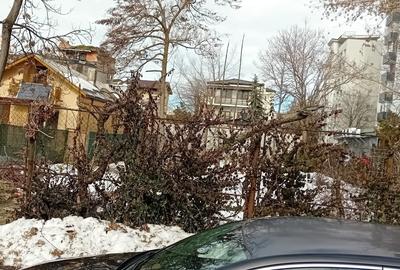 Teren Construcții intravilan de 503 mp, în 1 Mai - 11