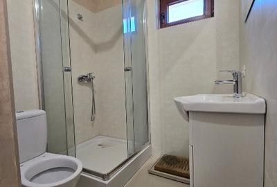 Casa/vila comuna Berceni, str Campului 4 camere - 9