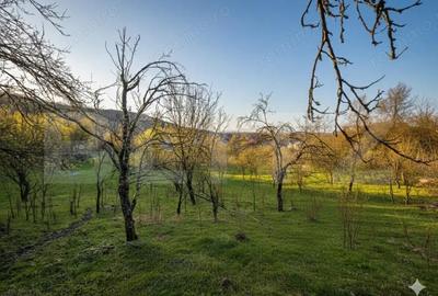 Teren de 9066 mp, în Central - 9