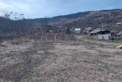 Casă cu 3 camere cu Teren 10000 Mp în Tulești