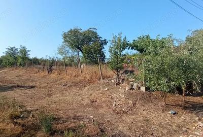 Teren de 2600 mp, în Silagiu - 4