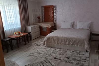 Casa individuala, teren 5200mp, oportunitate de investitie, - 3