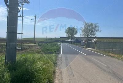 Teren de 6300 mp, în Jorăști - 5