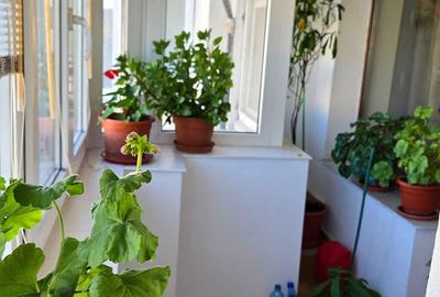 Apartament cu 4 camere decomandat în Muncii - 3