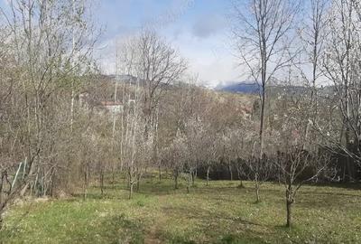 Teren de 873 mp, în Central - 2
