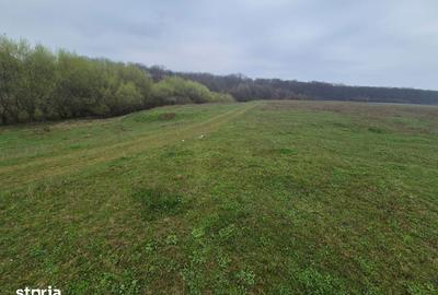 Teren de 2200 mp, în Mitocu Dragomirnei - 2