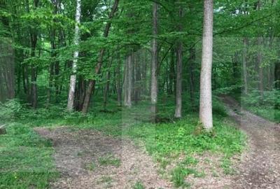 Teren intravilan, 1300 mp, Faget - 1