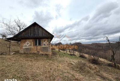 Teren de 34000 mp, în Borod - 1
