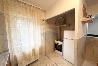 Apartament cu 2 camere nedecomandat în Micălaca - 10