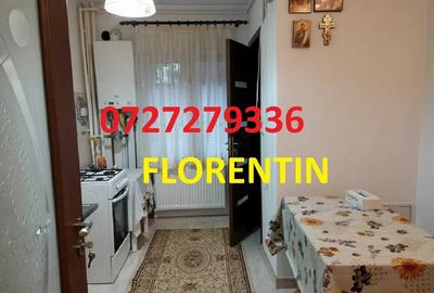 Drumul Taberei Moghioros-Auchan - 2