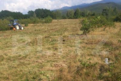 Teren extravilan 3300 mp, Car?i?oara- Set - 8