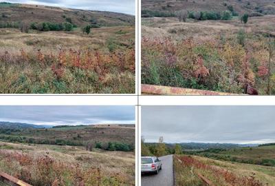 Teren extravilan pasune Ardeoani, ID: R2404603 - 2