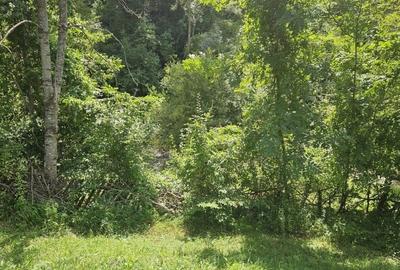 Teren agricol intravilan de 2500 mp, în Valea Doftanei - 9