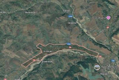 Teren extravilan pasune Ardeaoni, ID: R2404614 - 3