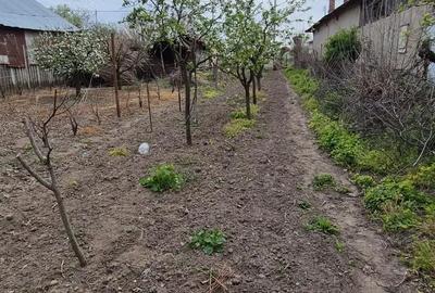 Teren în Miloșești - 6