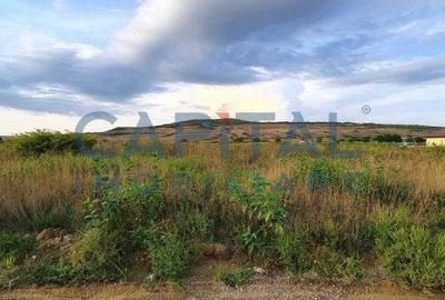 Teren intravilan 23750 mp, Zalau - 5