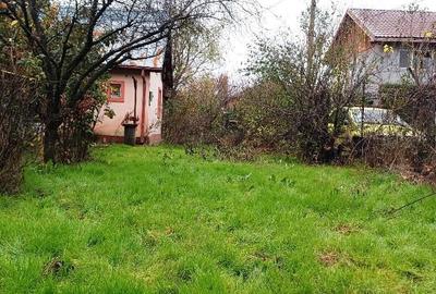 Pantelimon/ Ilfov - 11