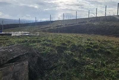 Teren de 6200 mp, în Bodrog - 3