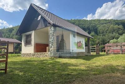 Casa de vacanta - zona Valea Bozom - Apata jud.Brasov - 1