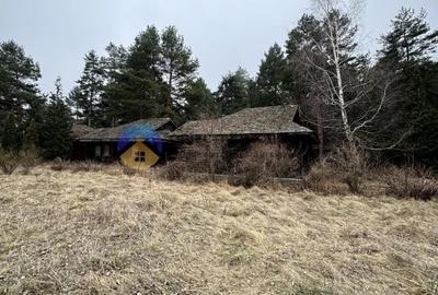 Teren Piatra Neamt - zona strand ideal pentru Hotel - 10