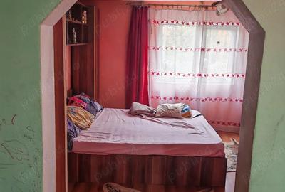 Casă în Cermei - 7