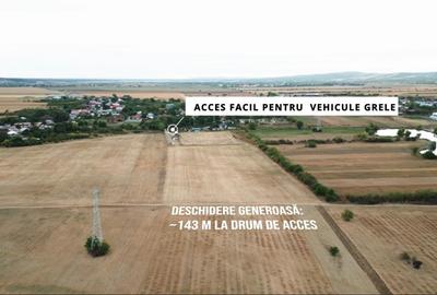 Teren intravilan 30.110 mp – Filipeștii de Târg, Prahova - 2