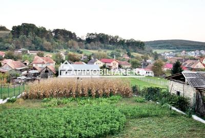 De vanzare 2 case cu 4.900 mp teren, Livezeni 0% comision - 1