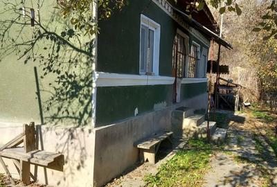 Casă cu 3 camere în Brănești - 4