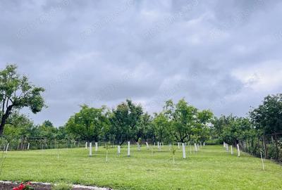 De vanzare doua case - 7