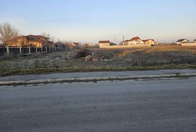 Spațiu comercial, în Buda - 3