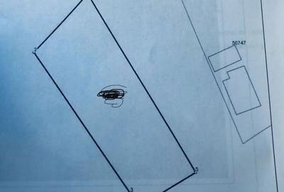 Spațiu comercial, în Șanțu-Florești - 7