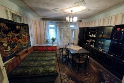 Bogodint, Casa 440mp cu 4 Hectare Teren, Pret Negociabil - 4