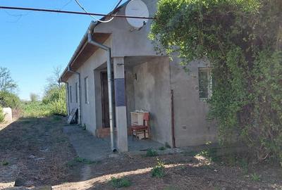 Casă cu Teren 3177 Mp în Stăncești - 3
