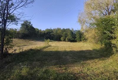 Teren de 2631 mp, în Malu Mierii - 6