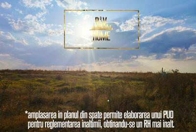 1800 mp zona Nenciu Stoian, lângă lac - 5