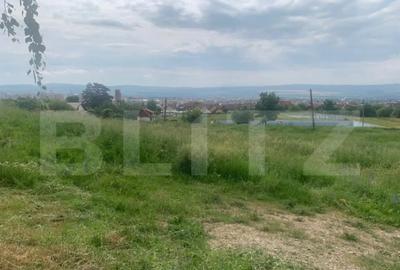 Teren de 997 mp, în Cetate