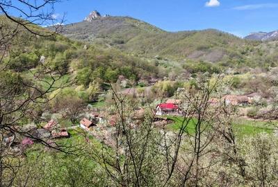 Casă cu 3 camere în Poiana Galdei - 7