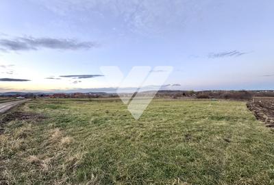 Teren extravilan 502 mp de vanzare in Cristian Sibiu - 2