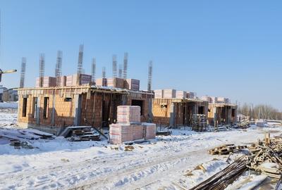 Vile individuale padurea Rosu - 7