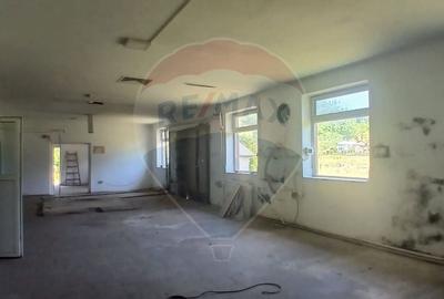 Spatiu comercial central Valea Lunga-Cricov de vanzare 2300 mp teren - 9