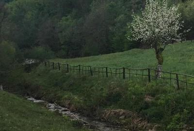 Teren de 1727 mp, în Stănija - 9
