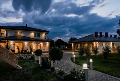 Casă cu 8 camere cu Teren 11880 Mp în Horodnic - 15