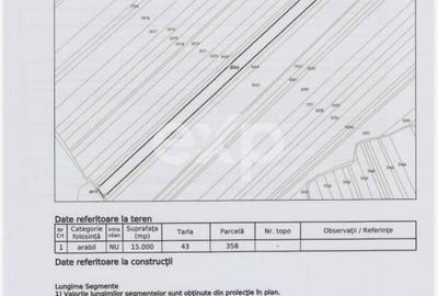 Teren agricol extravilan de 23000 mp, în Mareș - 4