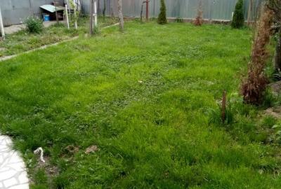 Spatiu comercial si separat in curte casa de locuit Iancu de Hunedoara - 6