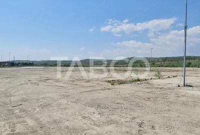 Teren de 40000 mp, în Teiu - 3