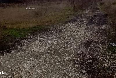 Spațiu comercial, în Corbeanca