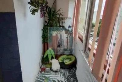 Ap 3 camere decomandat - zona Bartolomeu - 5