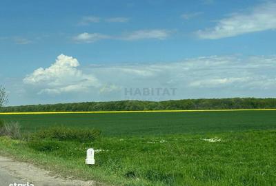 Spațiu comercial, în Odăile - 4