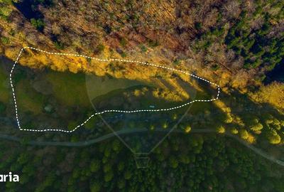 Teren de 17939 mp, în Mănești - 13